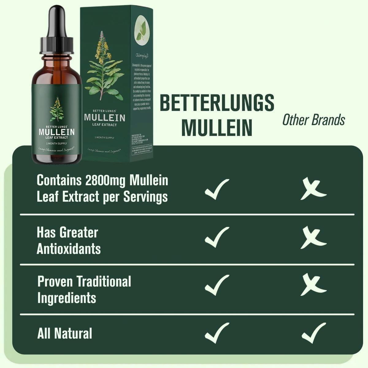 Lungs Mullein Leaf Extract Support Natural Supplement Tincture Drops