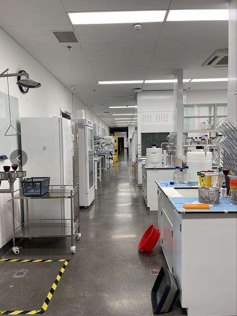 private label Vegan Triple Magnesium Complex capsules 300mg Magnesium Glycinate Malate Citrate Capsules