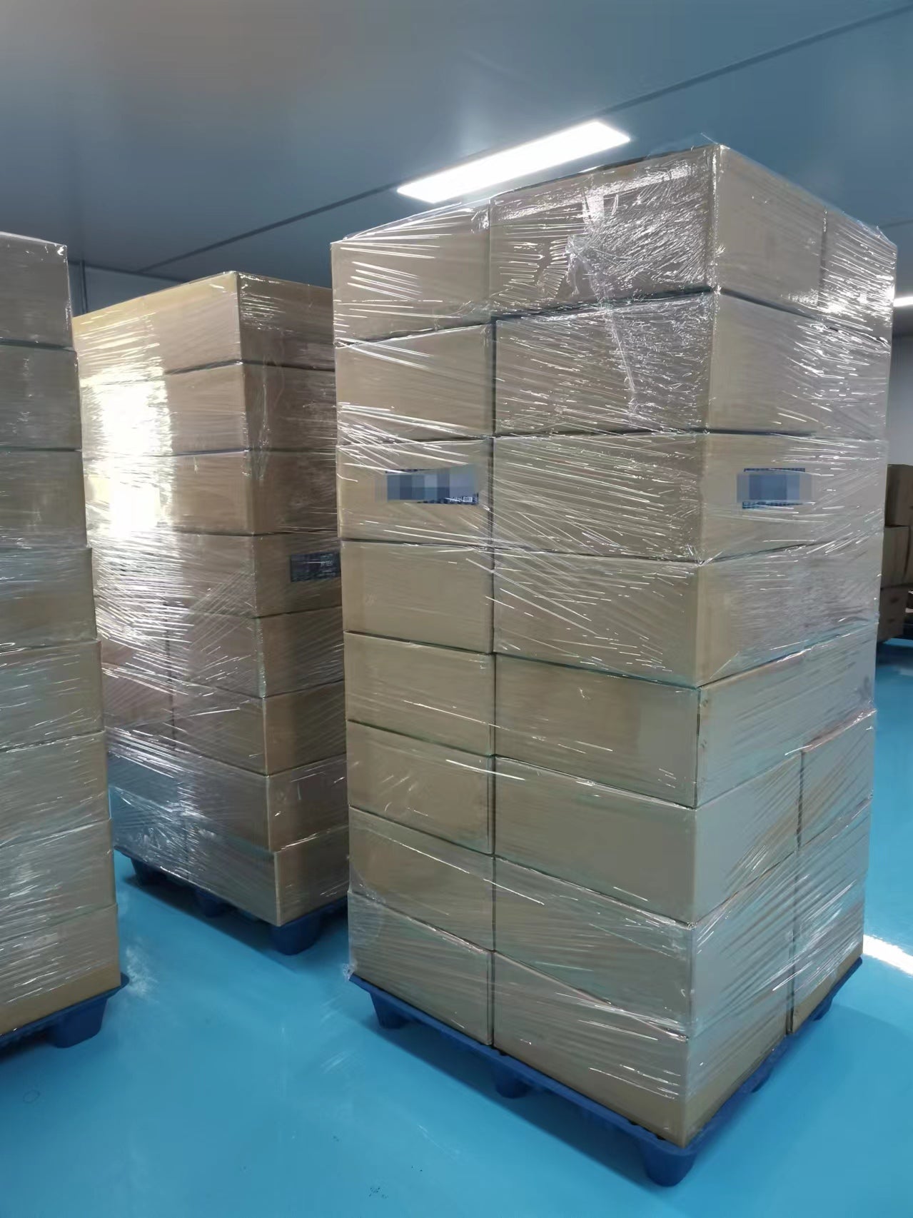 Probiotic Prebiotic Cranberry Dmannose Capsules Milk Thistle Capsules ALL IN ONE Probiotic Capsules With LOW MOQ