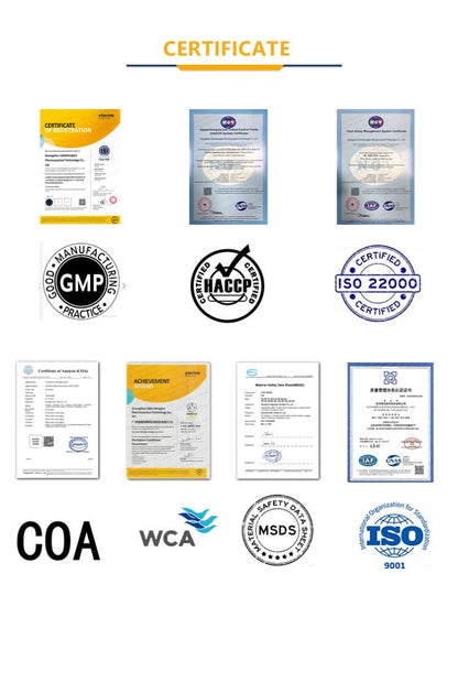 Multi Collagen Complex for Women, 240 Capsules with Hyaluronic Acid, Biotin, & Vitamin C  Hydrolyzed Protein Peptides