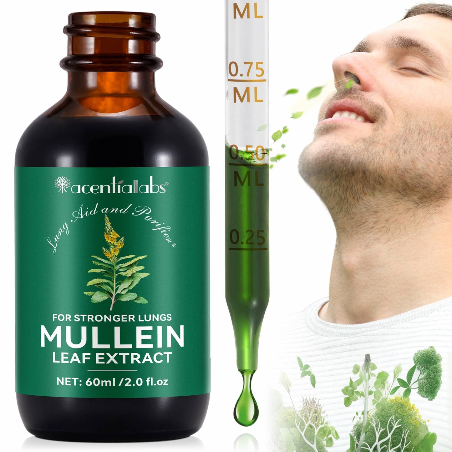 Acentiallabs 60ml mullein leaf liquid herbal extract drops mullein leaf extract