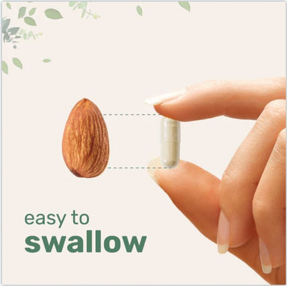 Multi Collagen Complex for Women, 240 Capsules with Hyaluronic Acid, Biotin, & Vitamin C  Hydrolyzed Protein Peptides