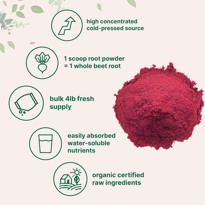 Natural Pigment Beetroot Powder Red Beet Root Concentrate Juice Powder