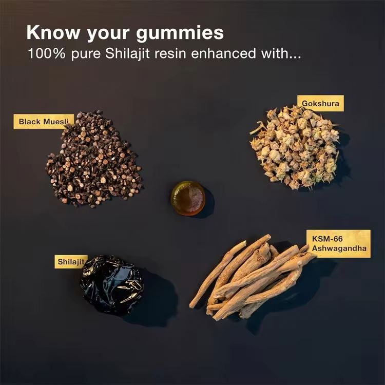 Himalayan Shilajit Gummies Organic Supplement Individually Wrapped Shilajit Original Natural Shilajit Gummies
