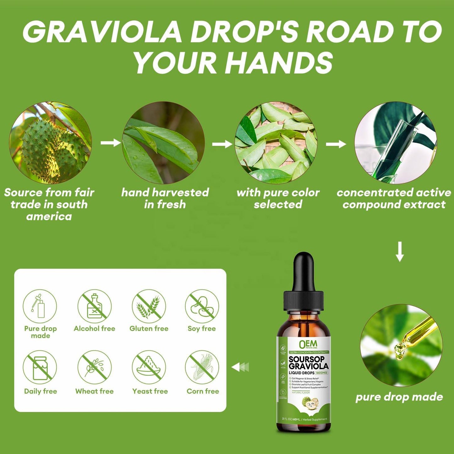 Graviola Liquid Drops Soursop Graviola Liquid Drop Soursop Bitters Liquid