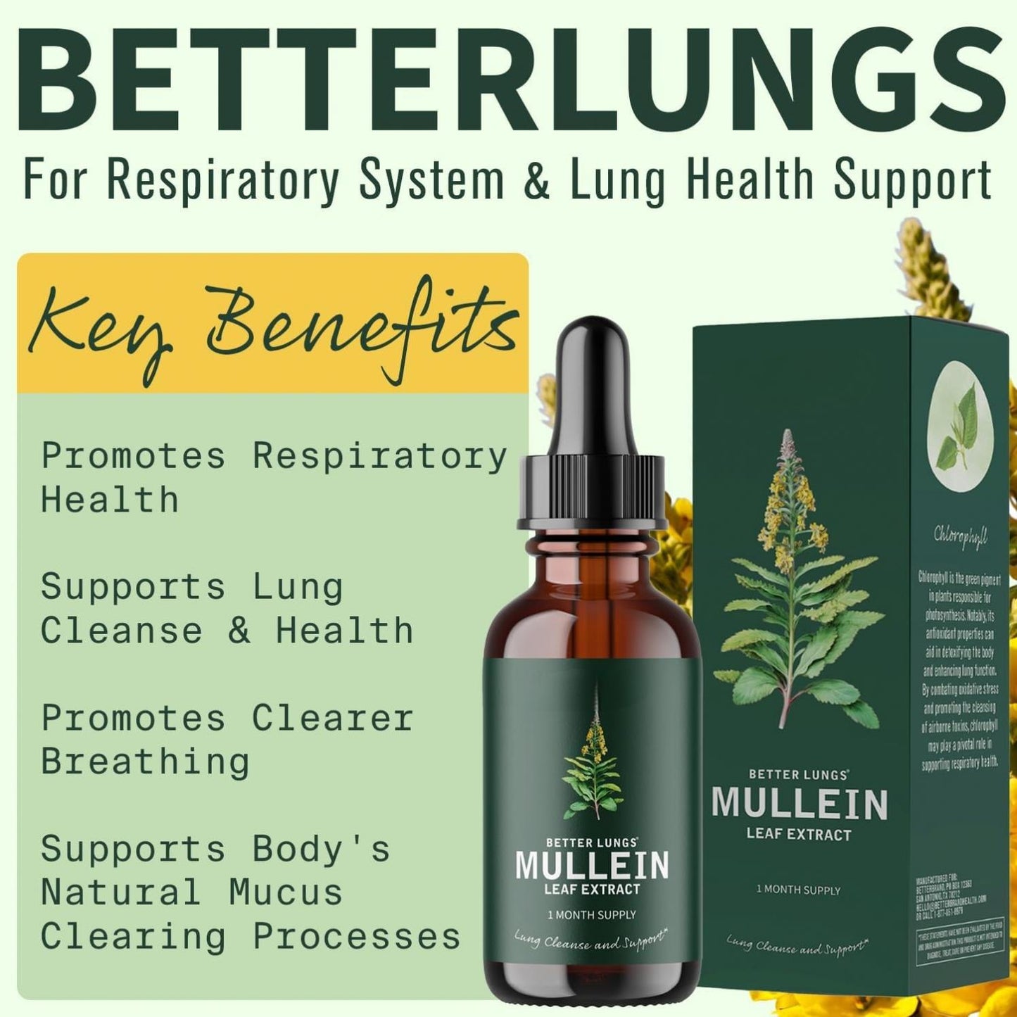 Lungs Mullein Leaf Extract Support Natural Supplement Tincture Drops
