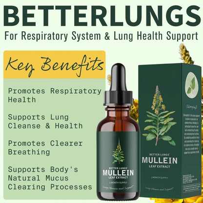 Lungs Mullein Leaf Extract Support Natural Supplement Tincture Drops
