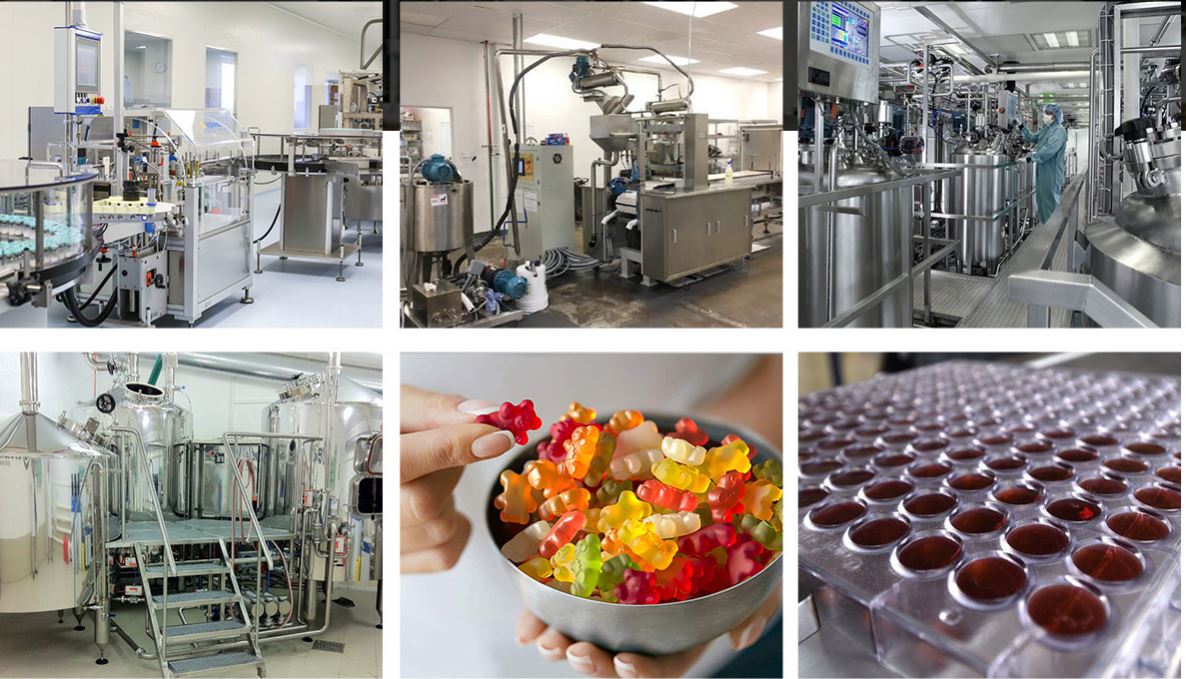 Private Label Berry Gummies Gummy Bear With Vitamins For Women Health Support Vegan Sugar-free Halal Beauty Gummies