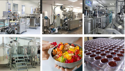 Private Label Berry Gummies Gummy Bear With Vitamins For Women Health Support Vegan Sugar-free Halal Beauty Gummies