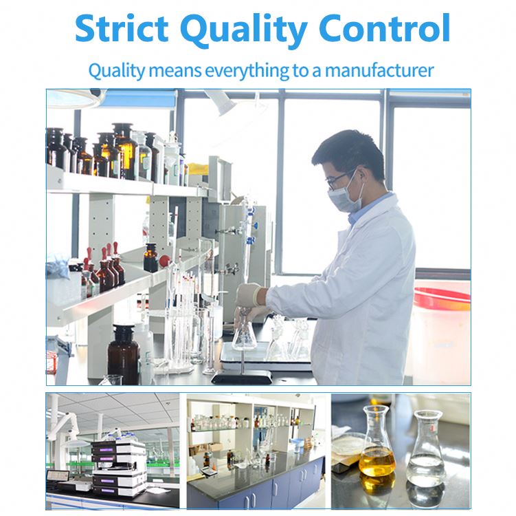 Private Label Super Green Vegan Organic Energy Immune Digestion Supplement Superfood Powder With Spirulina Chlorella Probiotics