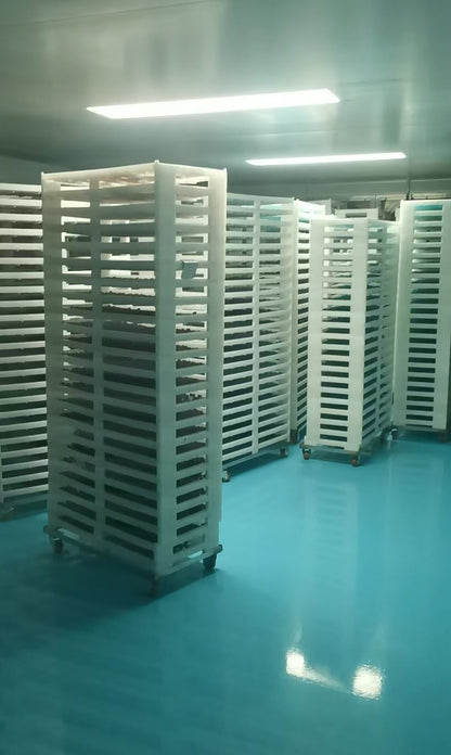 Wholesale Price corti-soothe Magnesium Ahwagadha L-Theanine Capsules