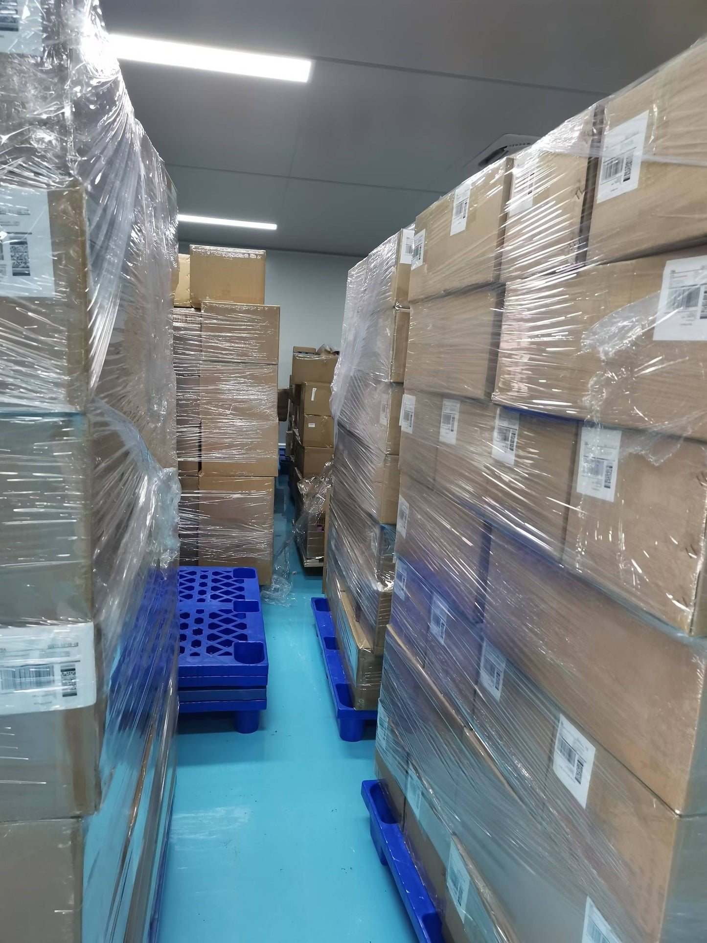 OEM Hot Selling Oregano Oil Capsule 300 Softgels Dietary Supplement immunity