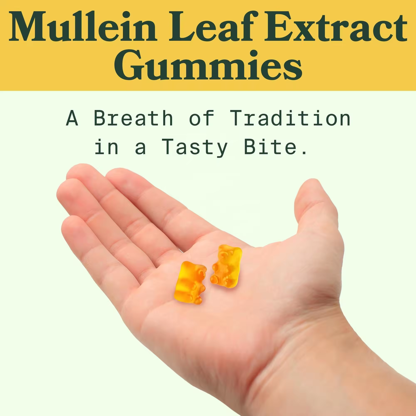 Wholesales 1000mg Mullein Gummies Daily Respiratory Health Gummies
