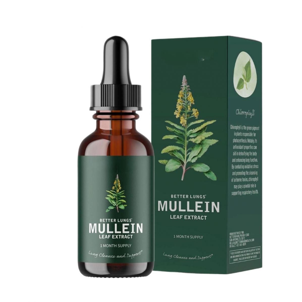 Lungs Mullein Leaf Extract Support Natural Supplement Tincture Drops