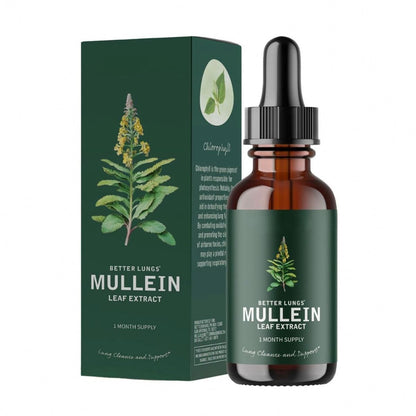Lungs Mullein Leaf Extract Support Natural Supplement Tincture Drops