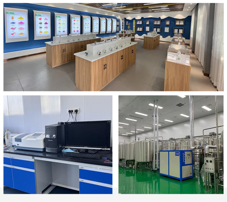 Private Label OEM/ODM Greens Superfood Powder Supplement Green Powder