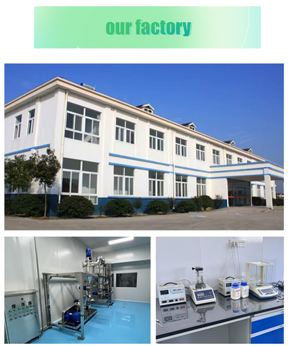 Private Label OEM/ODM Greens Superfood Powder Supplement Green Powder