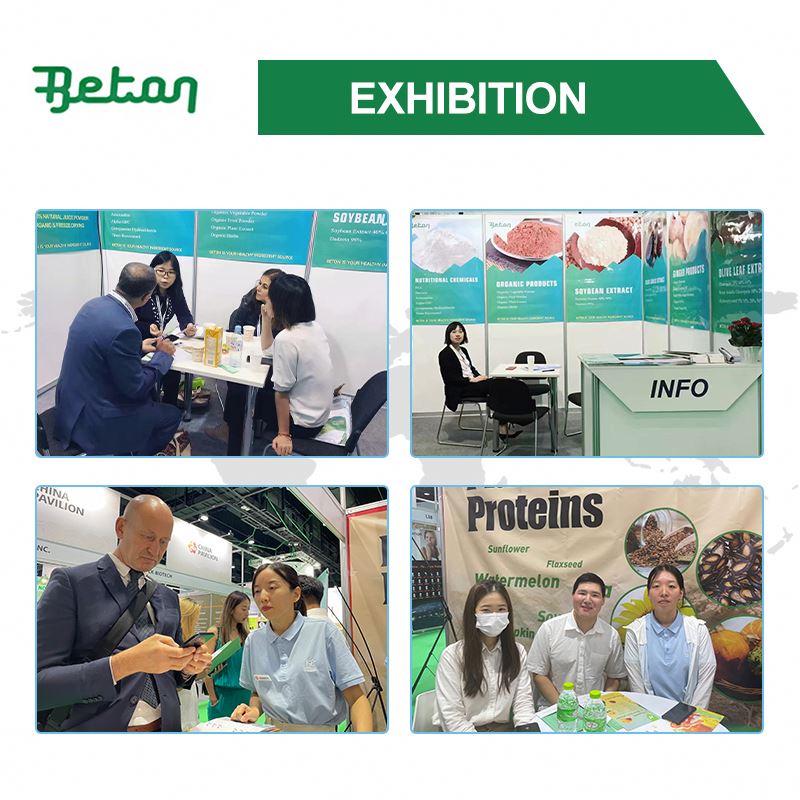 Beton Supply Pure Bulk Food Grade Glycine Magnesium Halal Powder 400mg 500mg Supplement 60 90 4-in-1 Complex Capsules