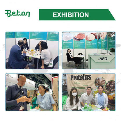 Beton Supply Pure Bulk Food Grade Glycine Magnesium Halal Powder 400mg 500mg Supplement 60 90 4-in-1 Complex Capsules